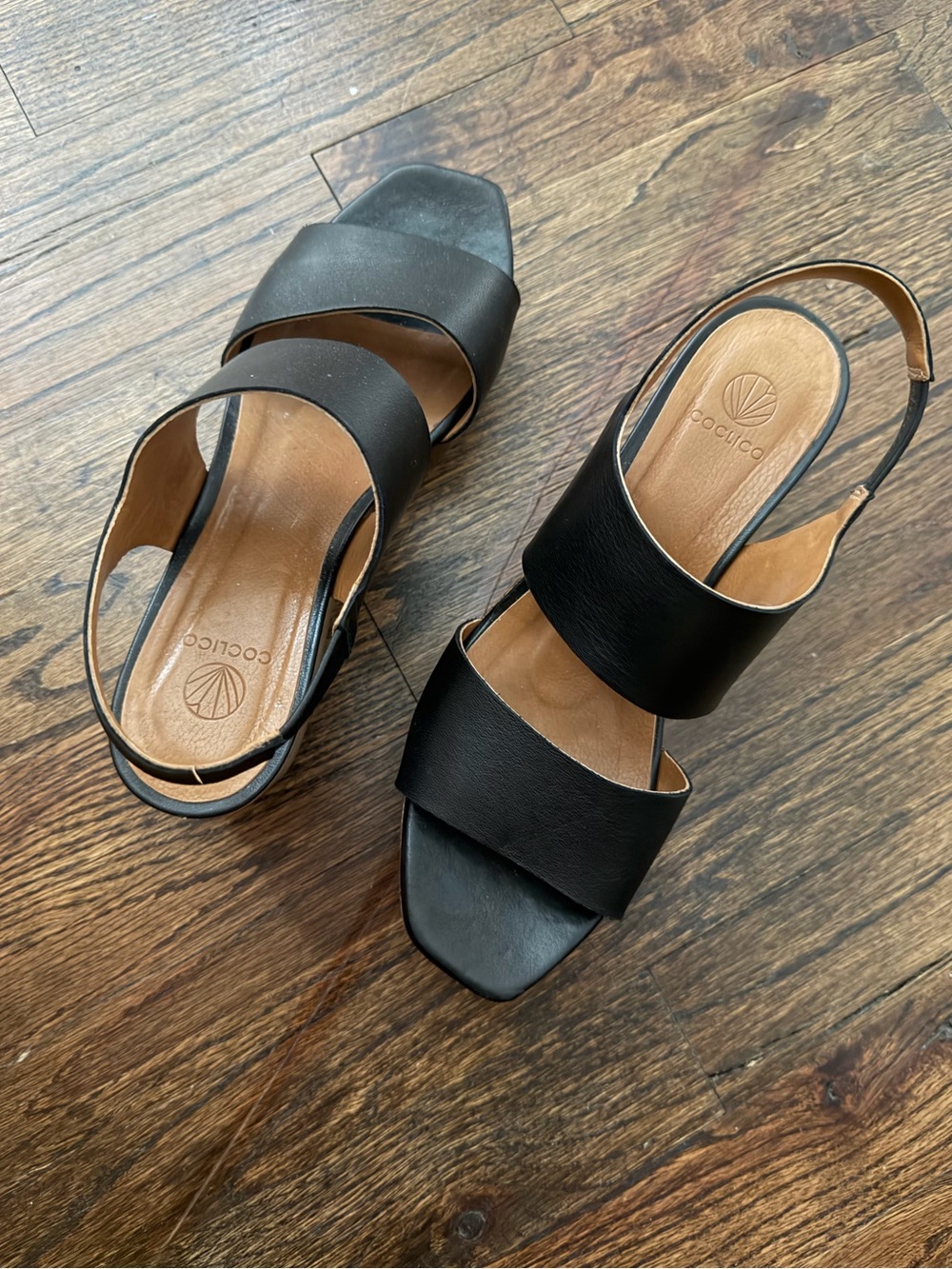 Coclico wedge size 7.5